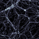 Dark matter distribution as simulated by Illustris. (Image: Markus Haider / Illustris collaboration)